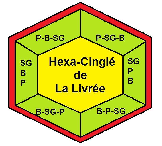 Hexa cingle livree 1